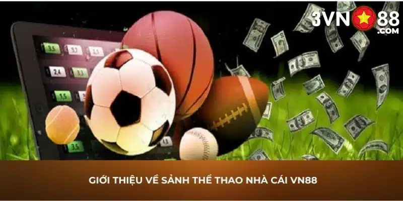 Những điểm đặc biệt khiến sảnh thể thao thu hút được người chơi Những điểm đặc biệt khiến sảnh thể thao thu hút được người chơi